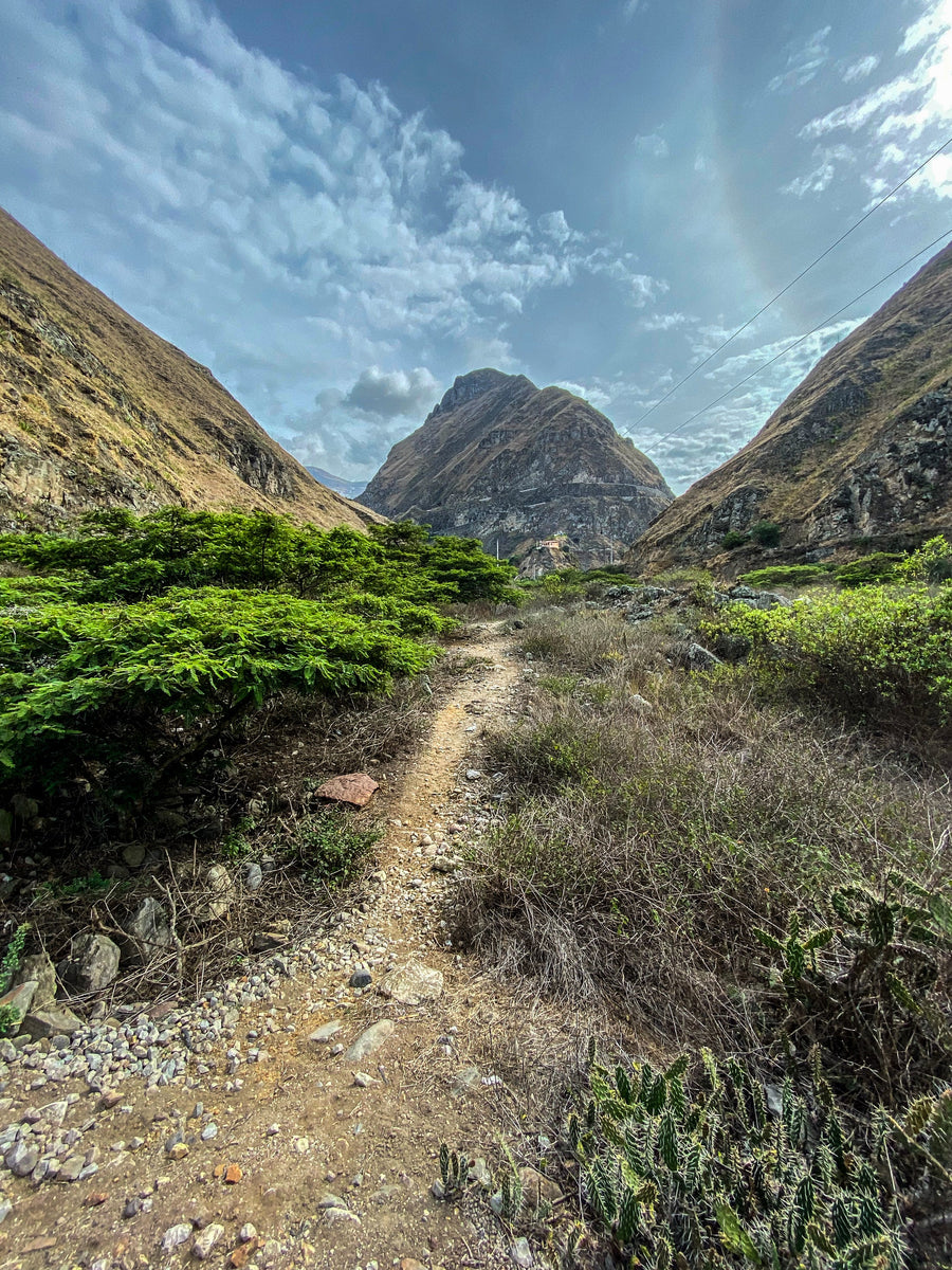 Andean Trail, Ecuador