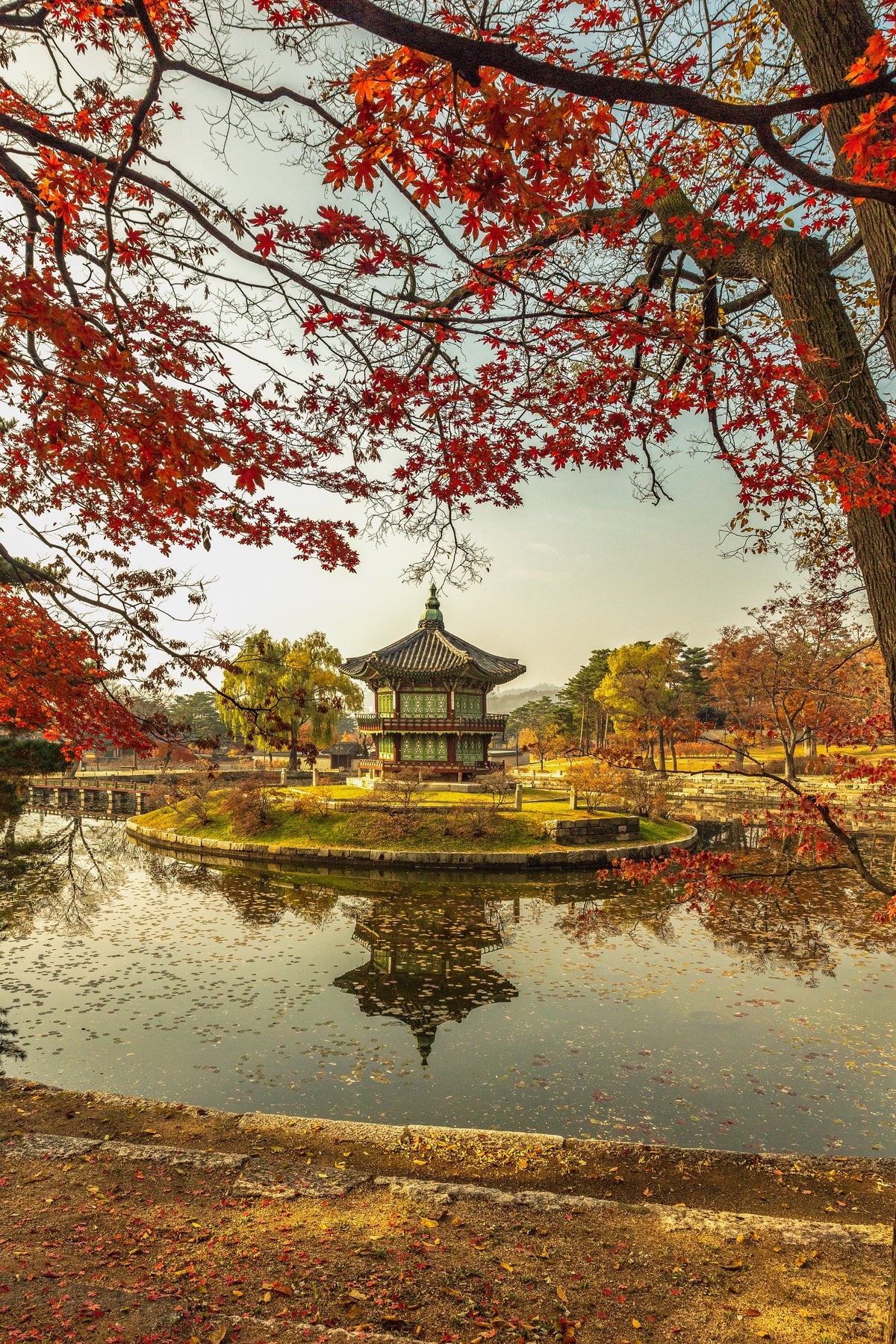 Autumn at Gyeongbokgung, Seoul, South Korea