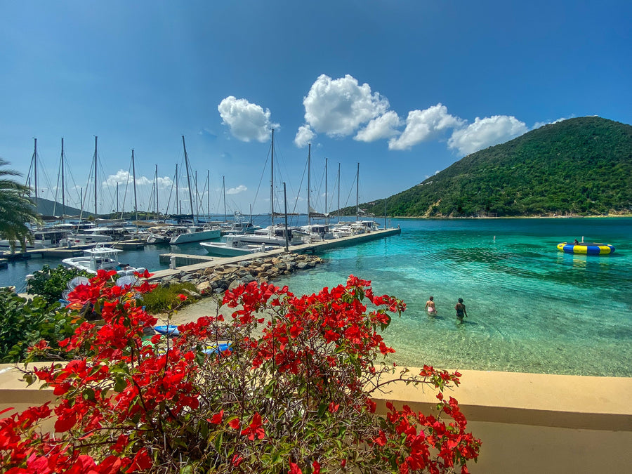 Bougainvillea Bay, British Virgin Islands