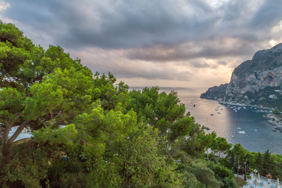 Capri Pines, Capri, Italy