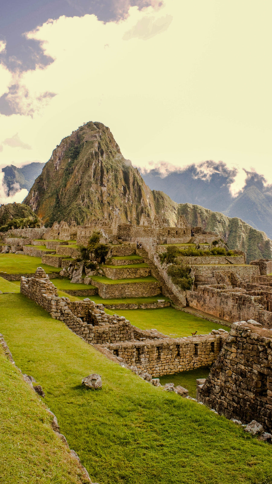 Citadel in Gold, Machu Picchu, Peru
