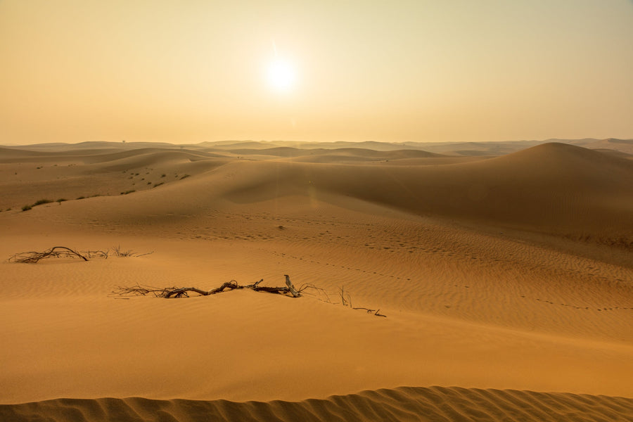 Desert Sun, Arabian Desert, UAE
