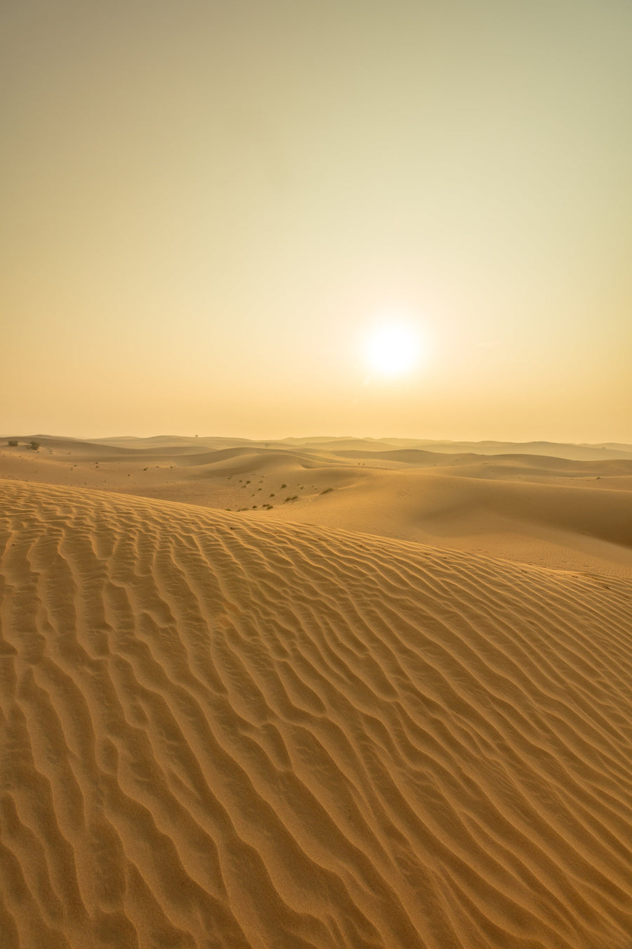 Dunes for Days, Empty Quarter, Abu Dhabi
