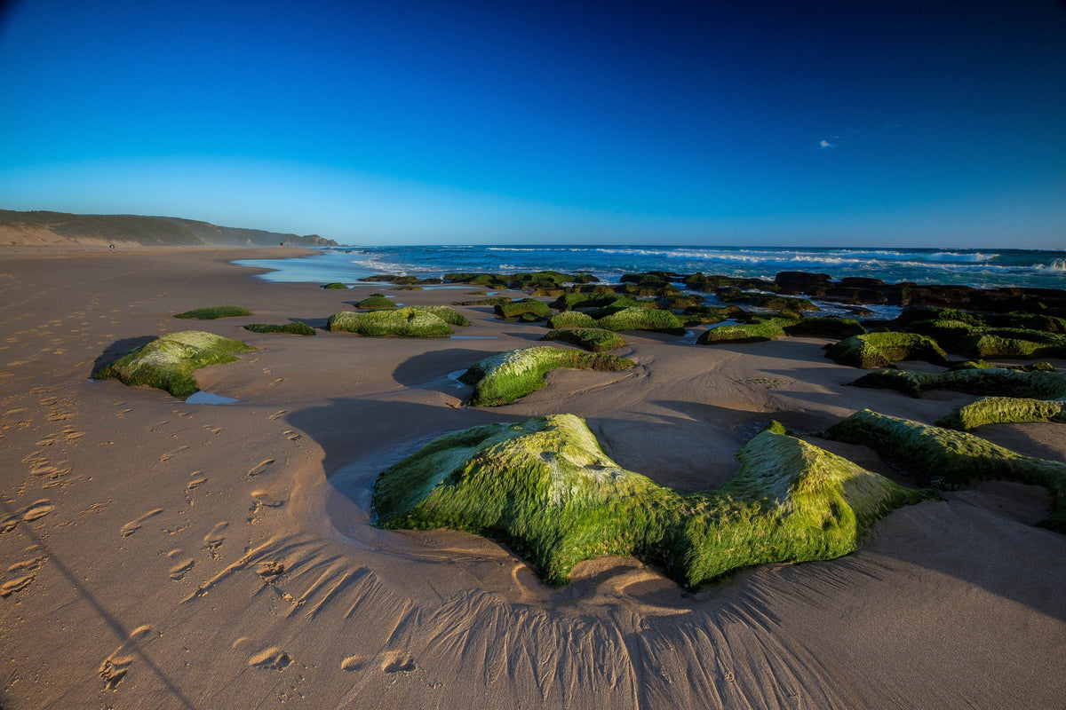 Emerald Shore, Australia