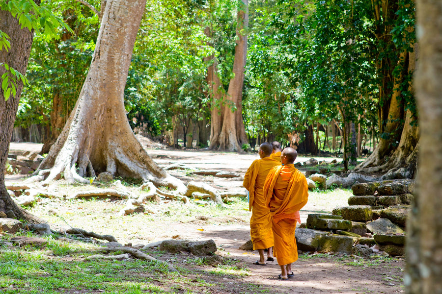 Monks of Ta Prohm, Angkor, Cambodia