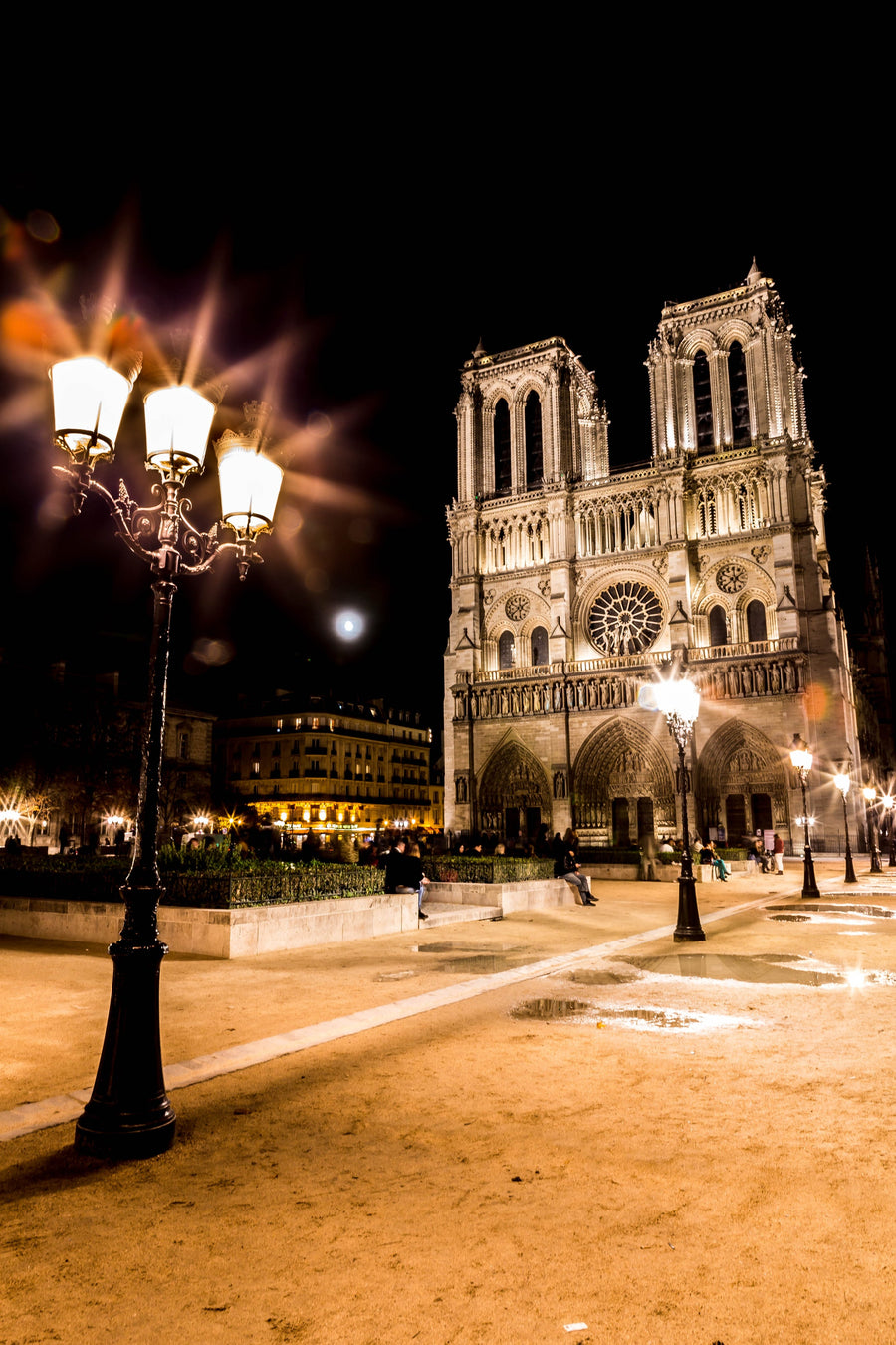 Notre-Dame by Night, Paris, France