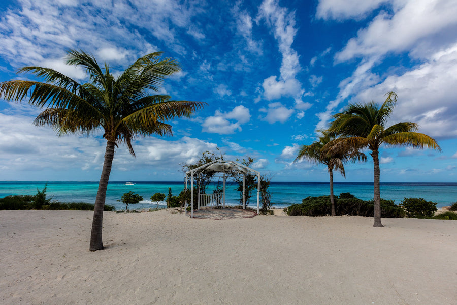 Palms on White Sand, The Bahamas