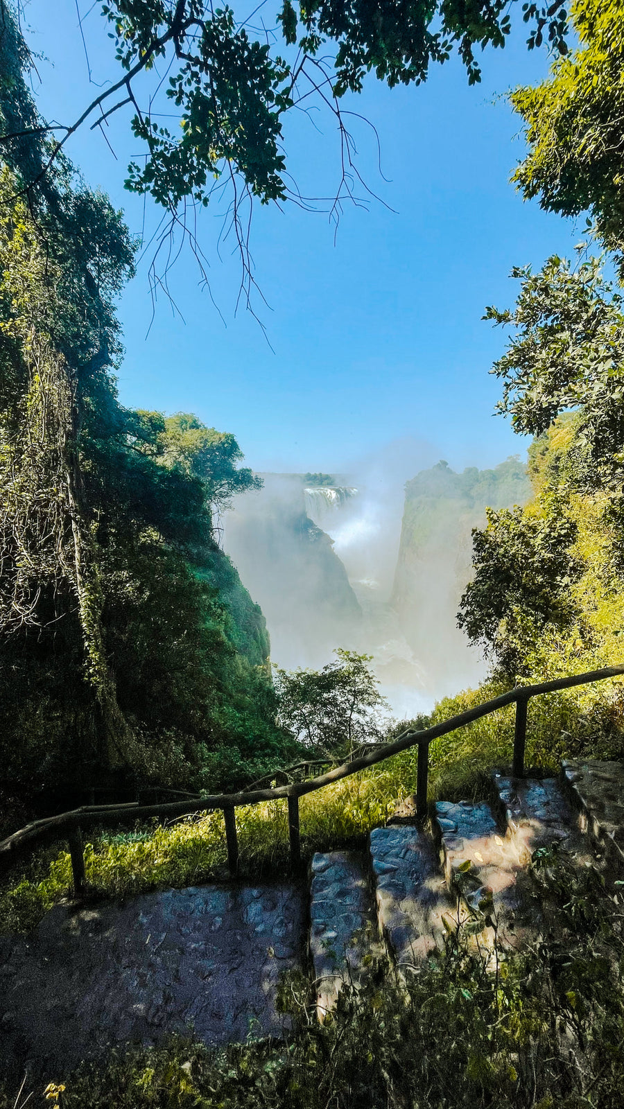 Rainforest at the Falls, Victoria Falls, Zimbabwe