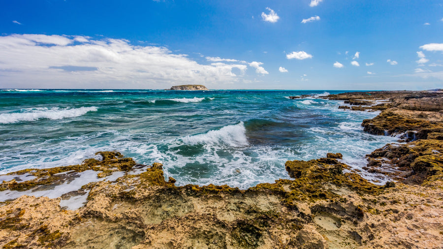 Rocky Shore, The Bahamas