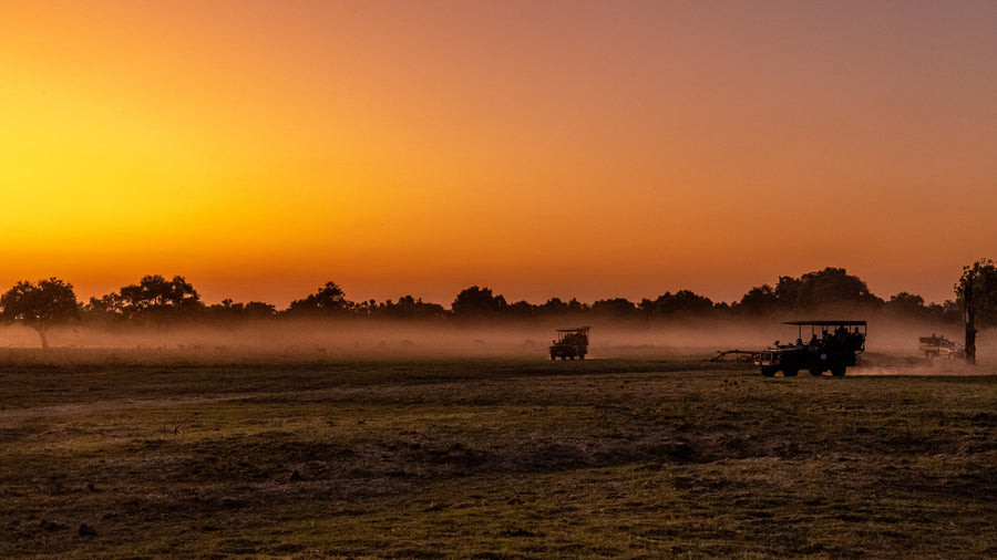 Savanna Dawn, Lower Zambezi, Zambia