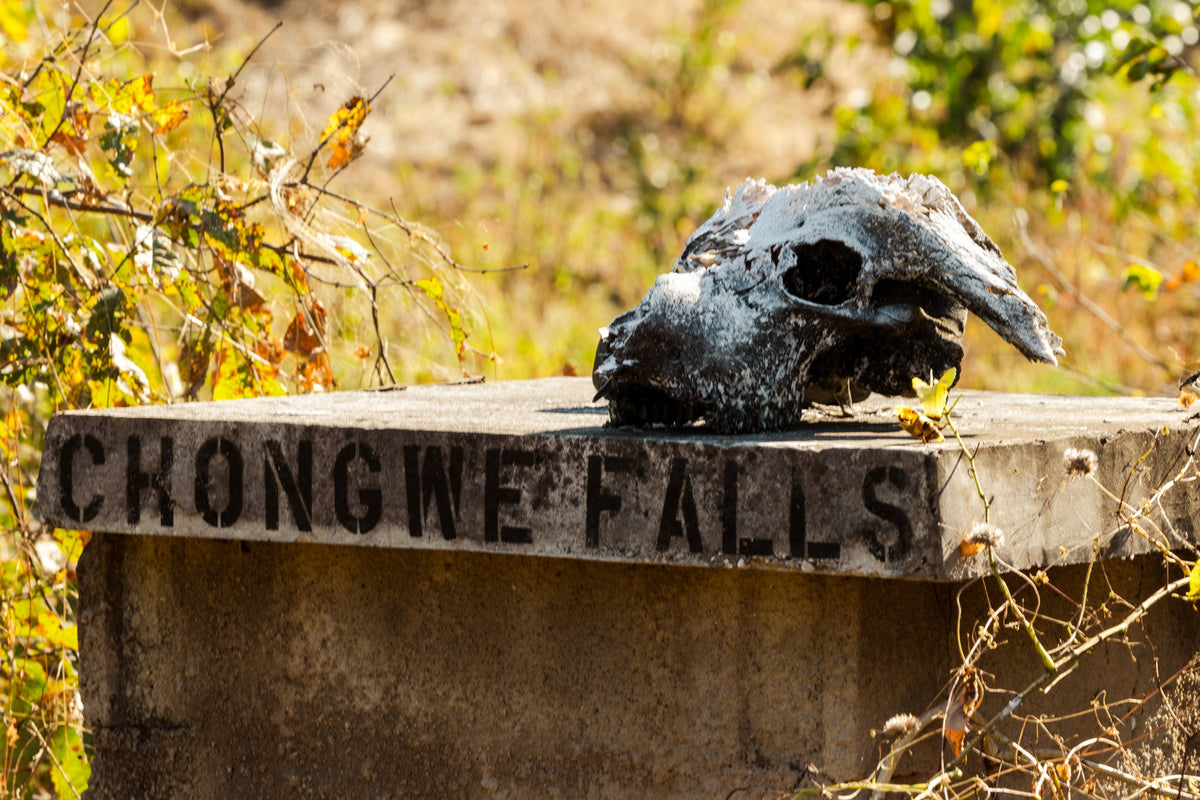 Skull at Chongwe, Chongwe Falls, Zambia