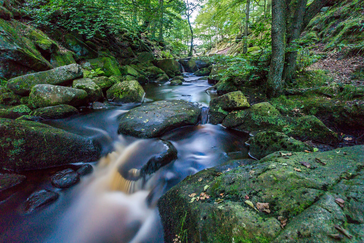 Woodland Stream, Peak District, England